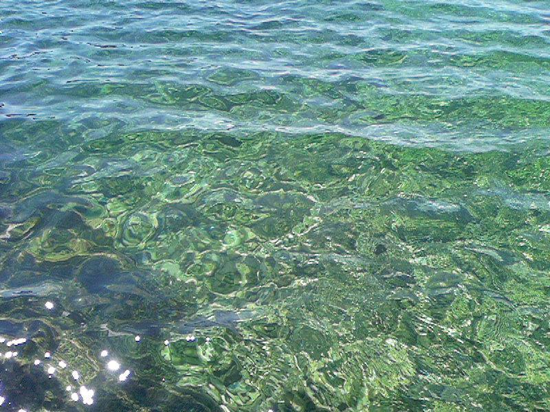 Mia Casa Dubrovnik别墅 外观 照片